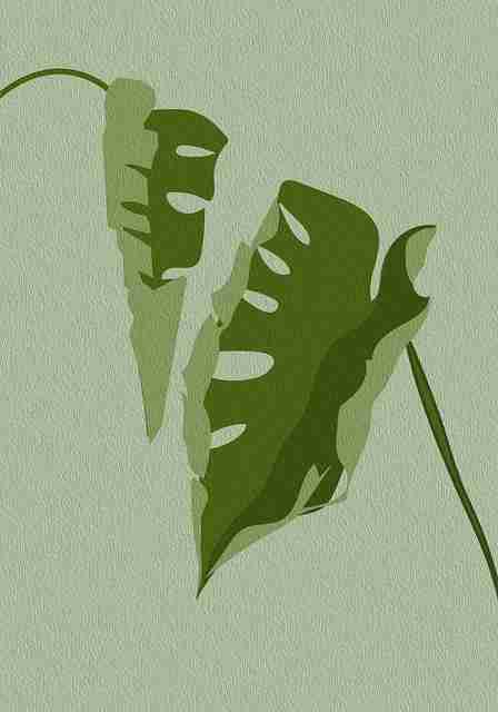 好色先生平台大数据分析|新栏目正式发布观看比例持续走高 第2张 好色先生平台大数据分析|新栏目正式发布观看比例持续走高 第2张